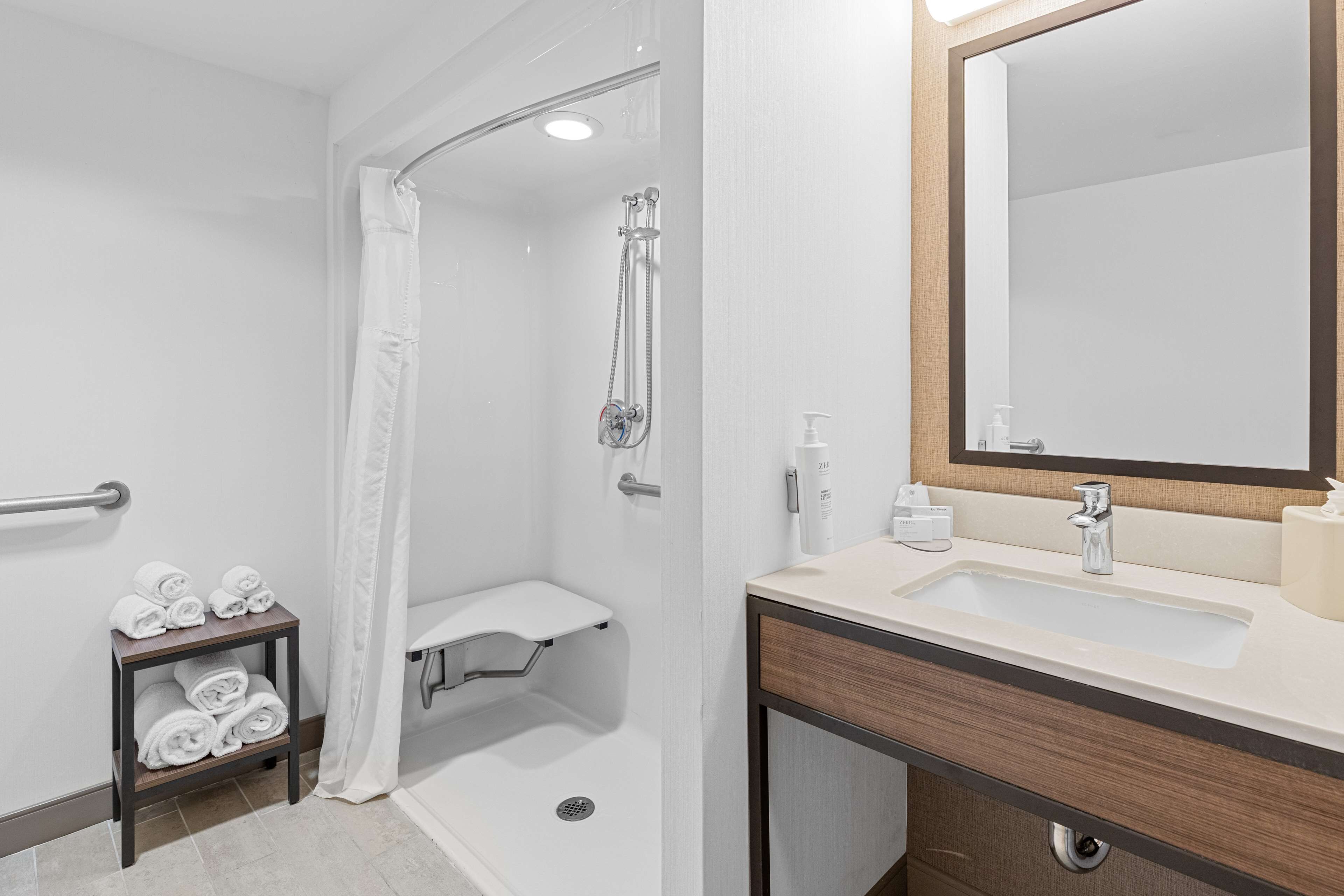 room, 1 king bed, accessible | bathroom shower