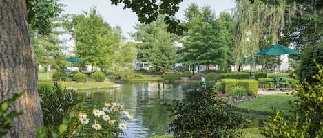 Blick von der Unterkunft