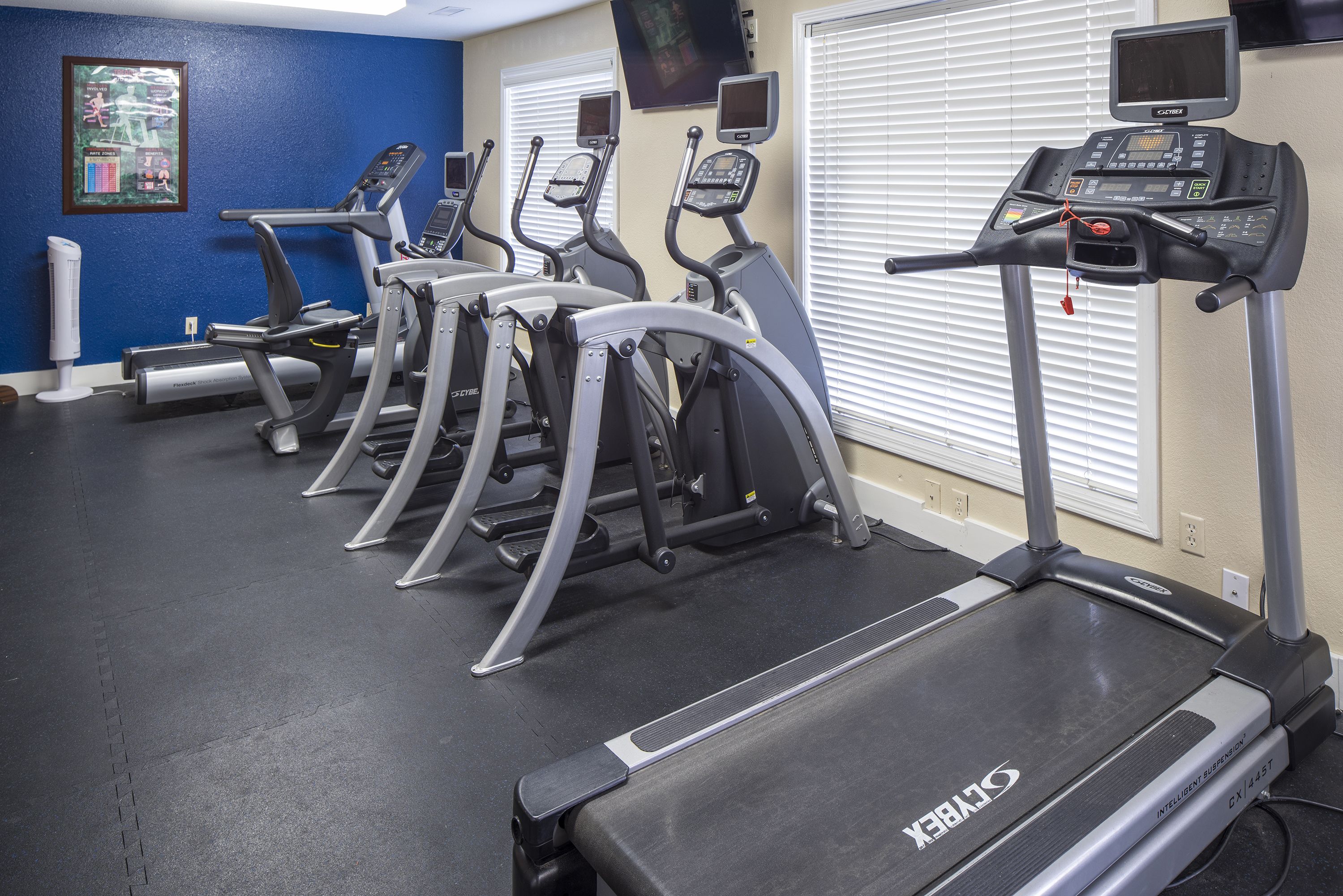 Ein Fitnessstudio mit Laufbändern, Crosstrainern und einem Ergometer.
