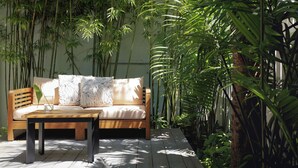A wooden bench with a cushion and a small table, surrounded by bamboo plants and a wooden deck. - Ella's Cottages - Key West Historic Inns (Key West)