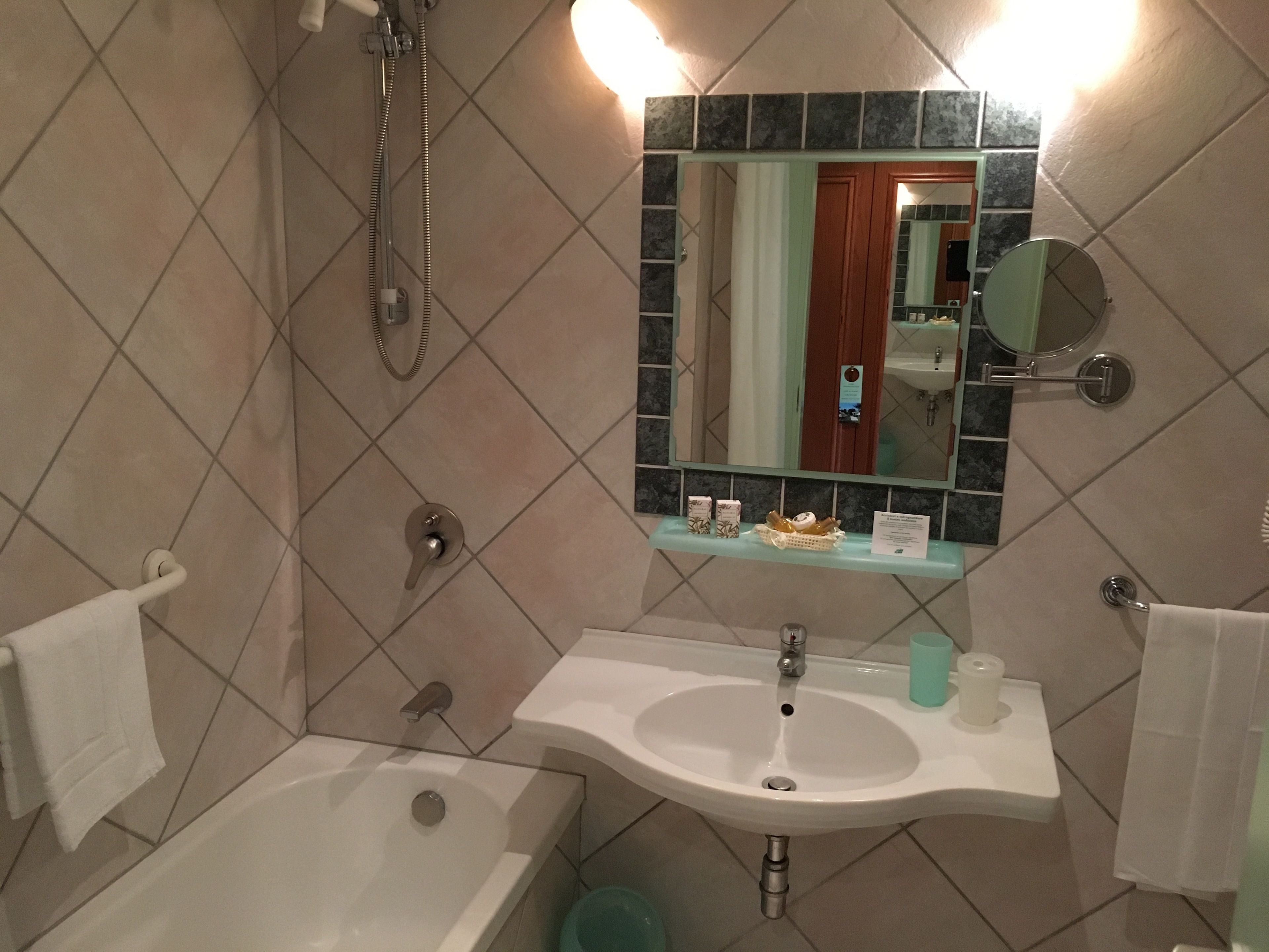 combined shower/bathtub, free toiletries, hair dryer, bidet