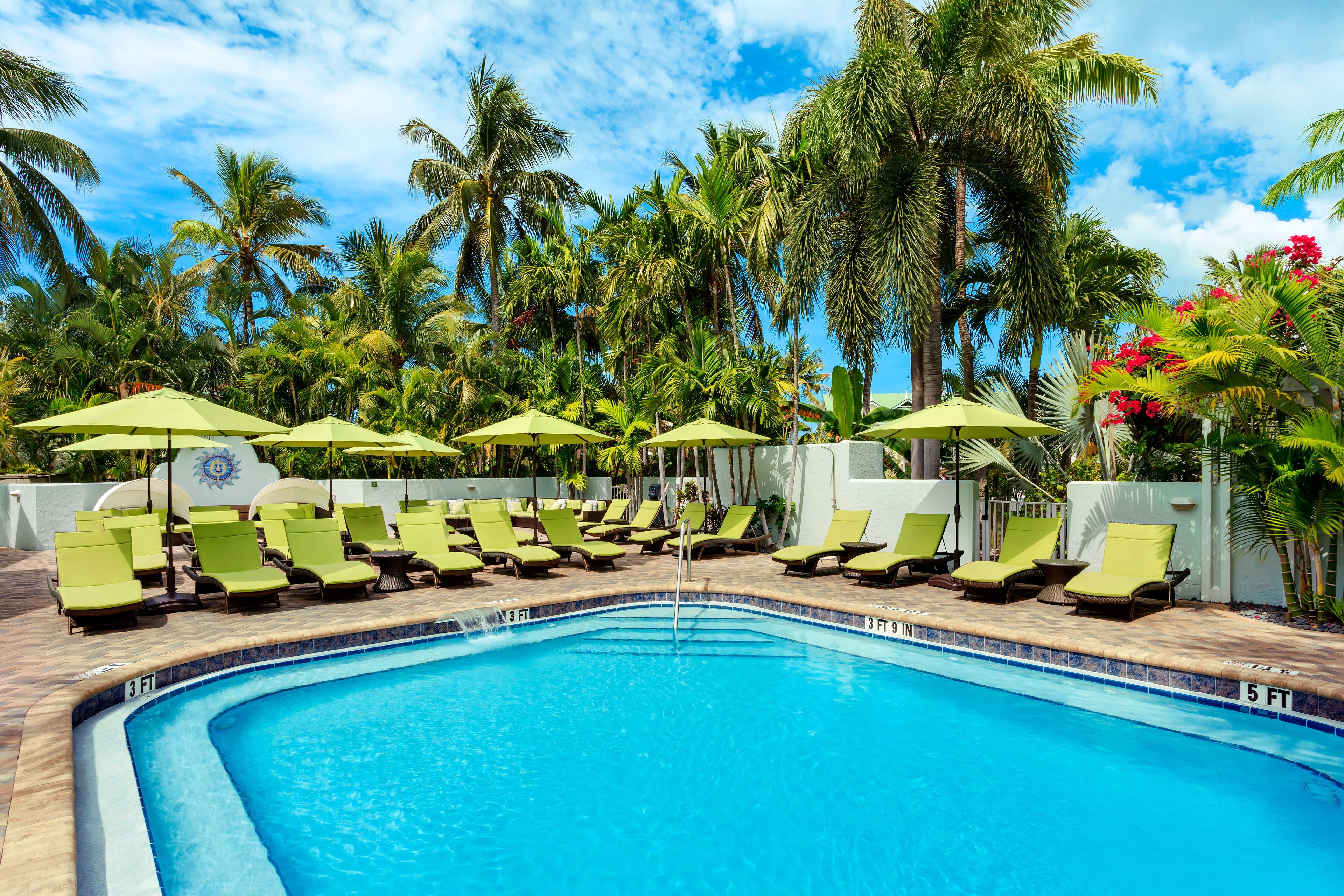 Une piscine entourée de palmiers, avec des chaises longues et des parasols.