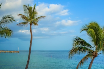 View from property looking out at Southernmost Beach Resort