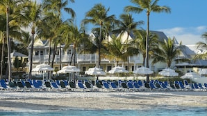 A beachside hotel with rows of blue lounge chairs and white umbrellas, palm trees, and a clear blue sky.