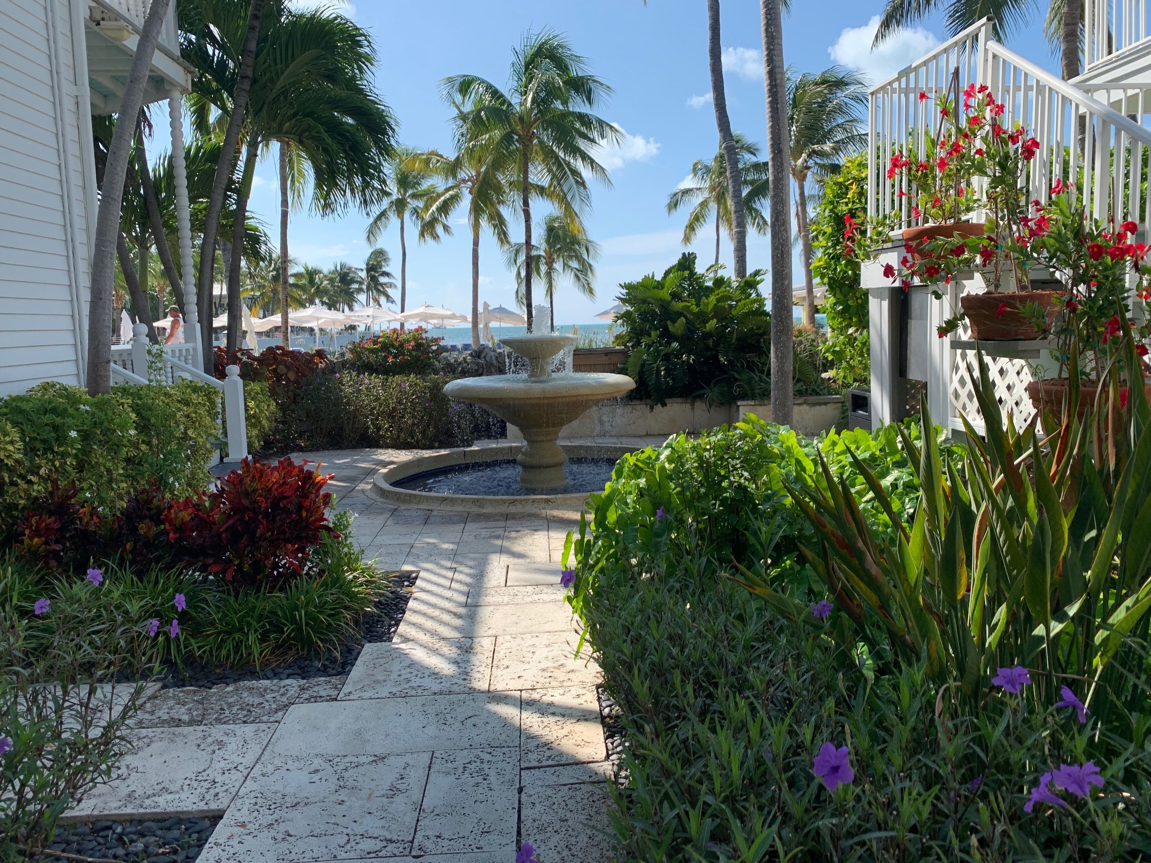 la mer and dewey garden view adult only | view from room