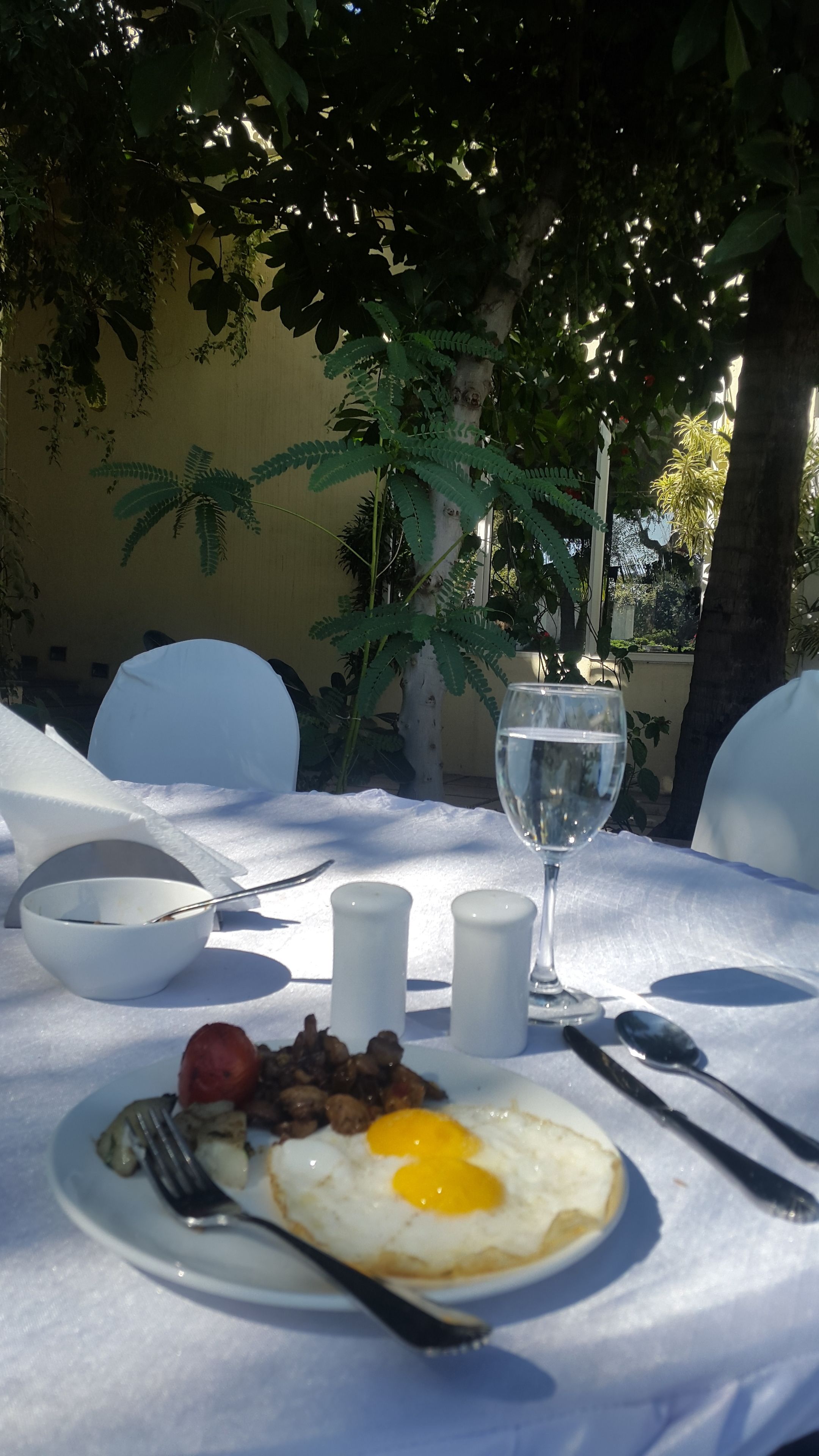 A table set with a plate of food, a glass of water, salt and pepper shakers, and cutlery.
