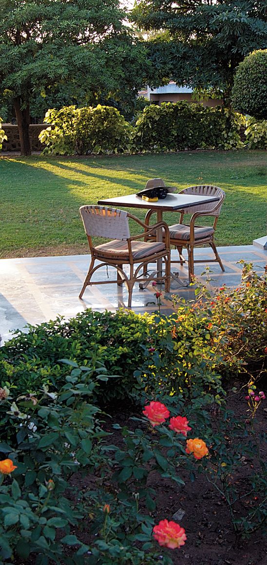 Un patio al aire libre con una mesa y sillas, rodeado de abundante follaje y plantas con flores.