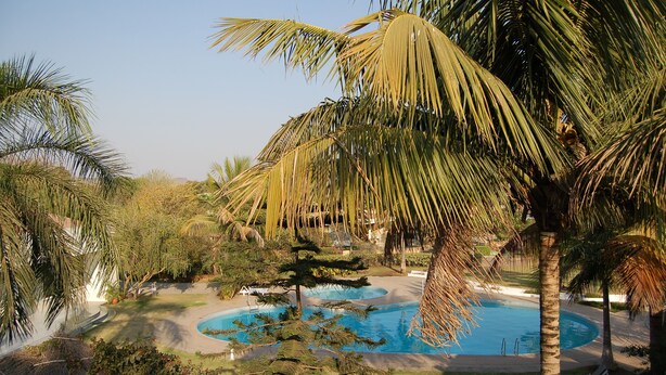 A pool surrounded by palm trees and a small waterfall. - The Meadows Resort and Spa (Chhatrapati Sambhajinagar)
