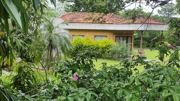 A yellow house with a tiled roof surrounded by lush greenery and a well-maintained garden.