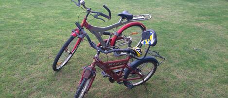 A red bicycle with a front basket and a rear rack, parked on a grassy lawn.