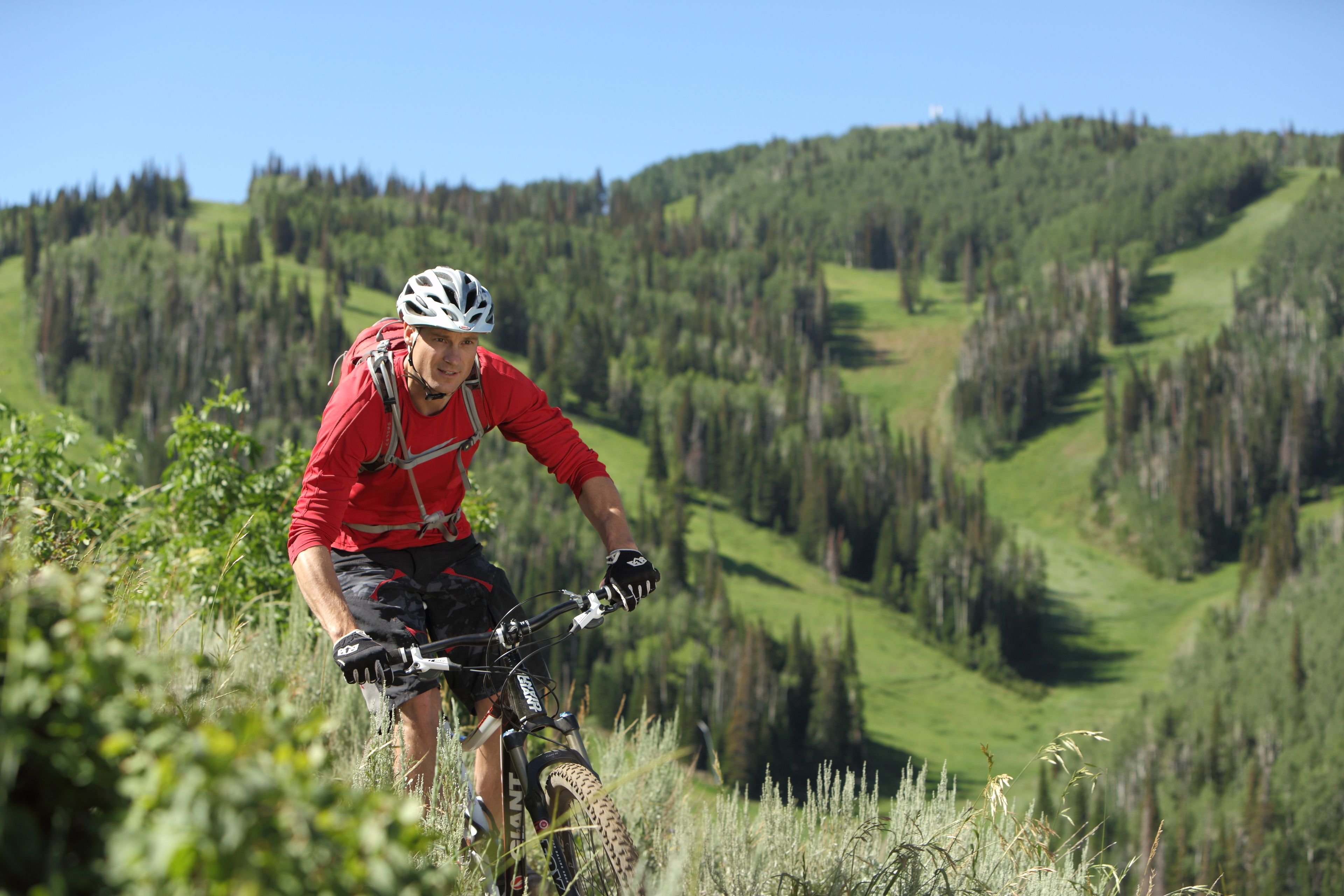 A mountain biker on a trail with a forested backdrop.