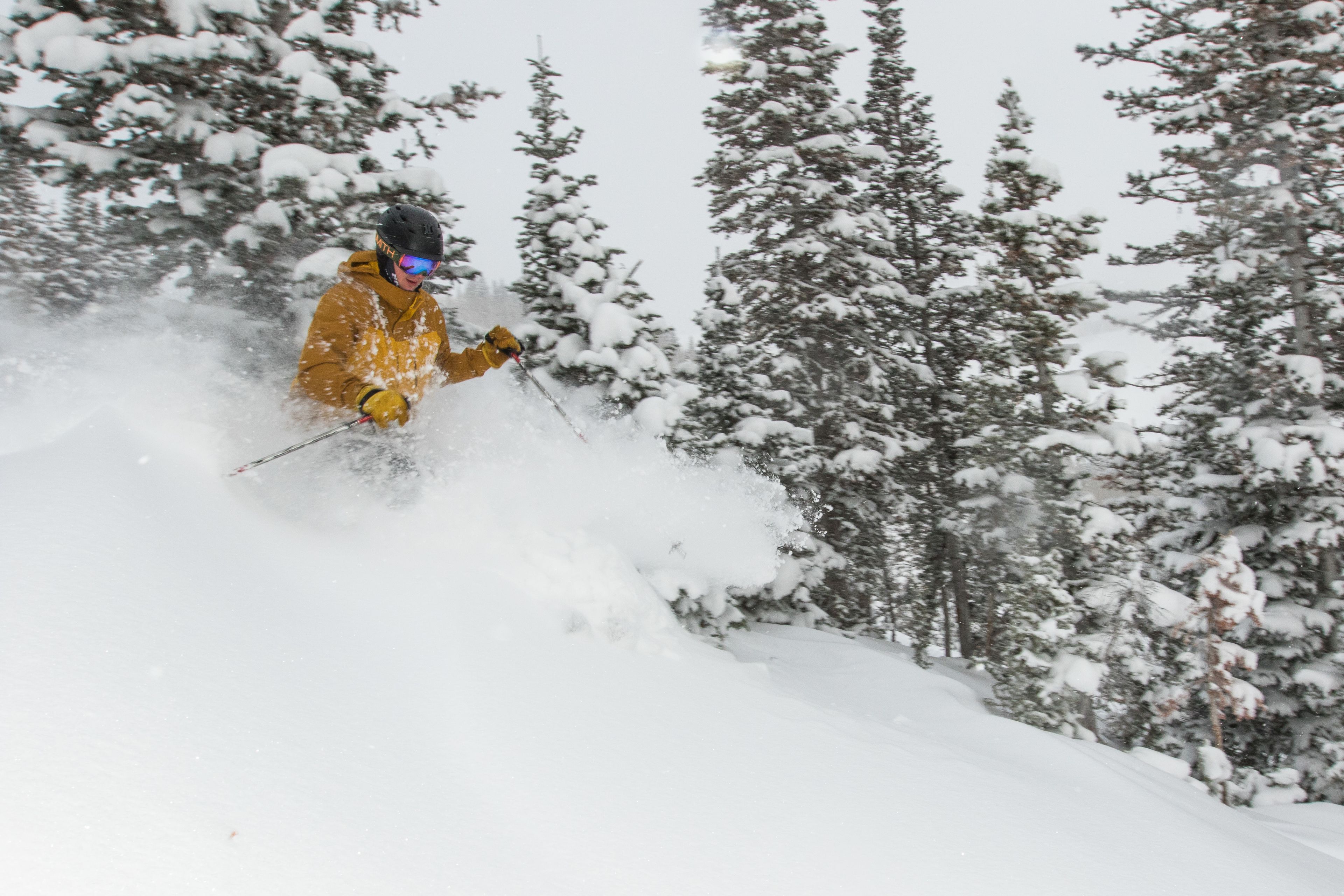 A person skiing down a snowy slope with trees in the background.