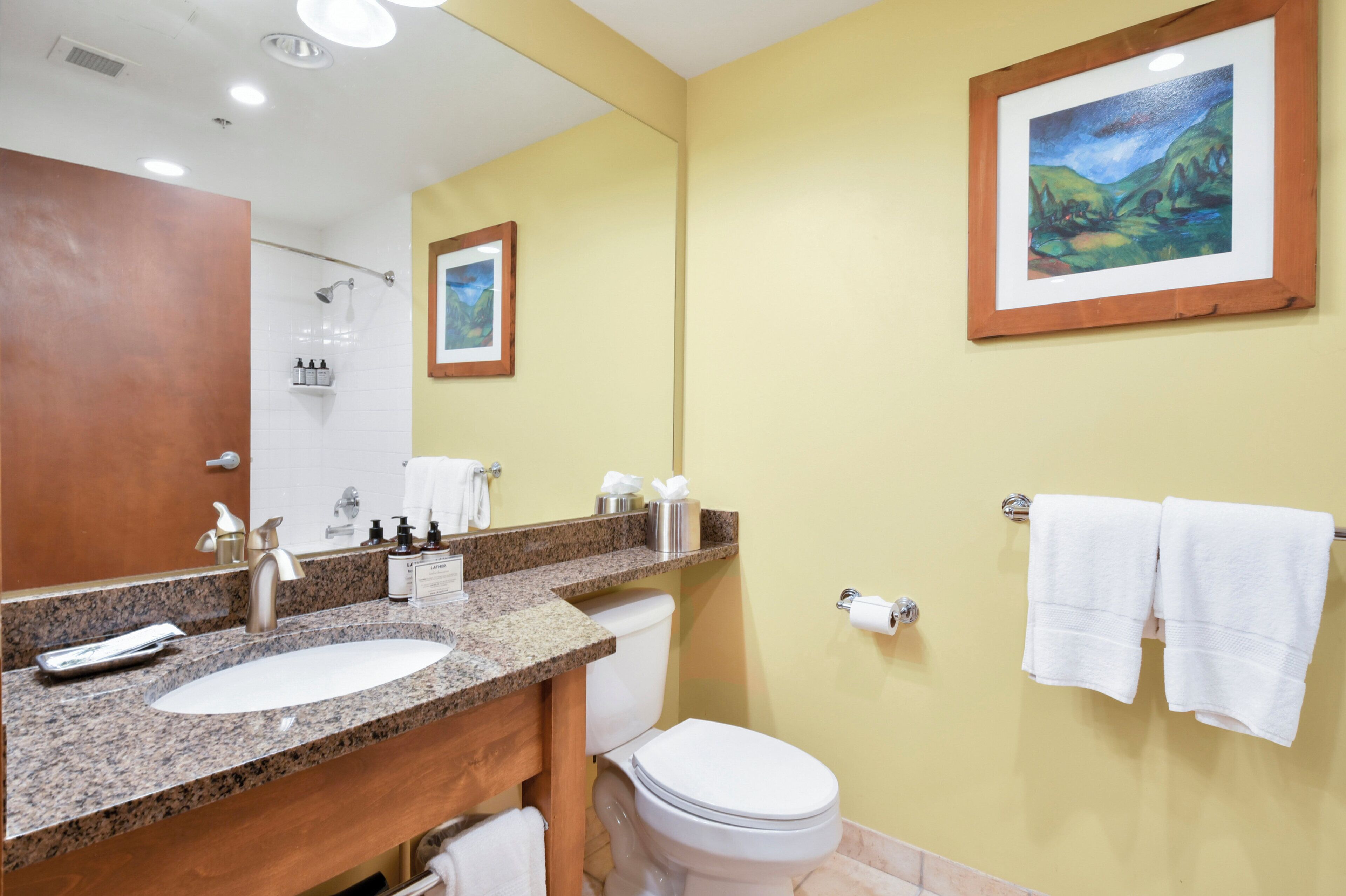 Une salle de bain avec un lavabo à surface en granit, des toilettes blanches et une douche. Des serviettes sont accrochées au mur et un tableau encadré est suspendu au-dessus des toilettes.