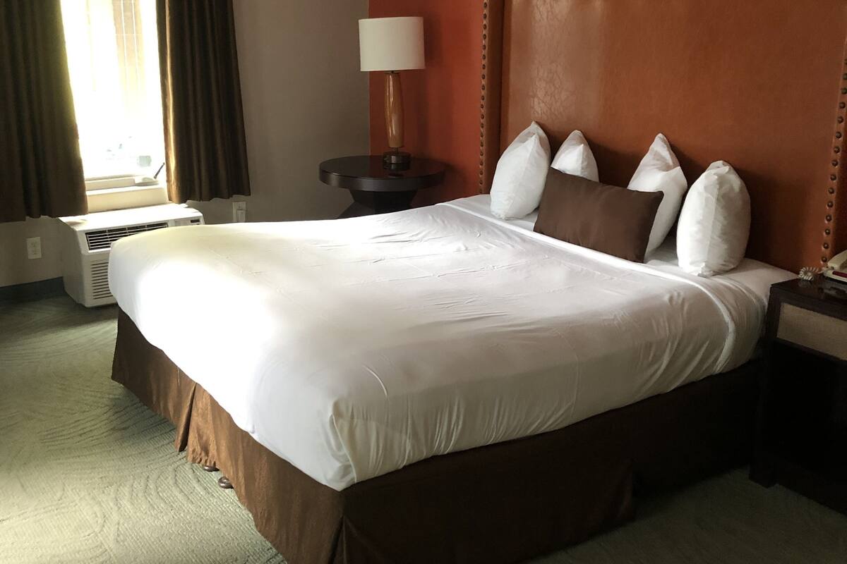 Une chambre d’hôtel avec un grand lit, une lampe de chevet, une fenêtre avec des rideaux et un radiateur mural.