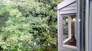 A window with a view of dense foliage and a building exterior. - Downtown Value Inn (Portland)