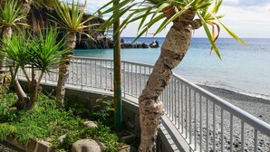 A coastal promenade with palm trees, a stone pathway, and a railing overlooking the sea. - Pestana Ocean Bay Resort (Funchal)