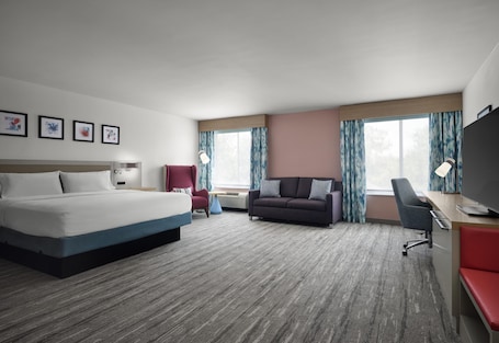 Habitación Deluxe, 1 cama de matrimonio grande con sofá cama | Zona de estar | Una televisión de pantalla plana, Netflix, películas de pago. Hilton Garden Inn Tampa East/Brandon
