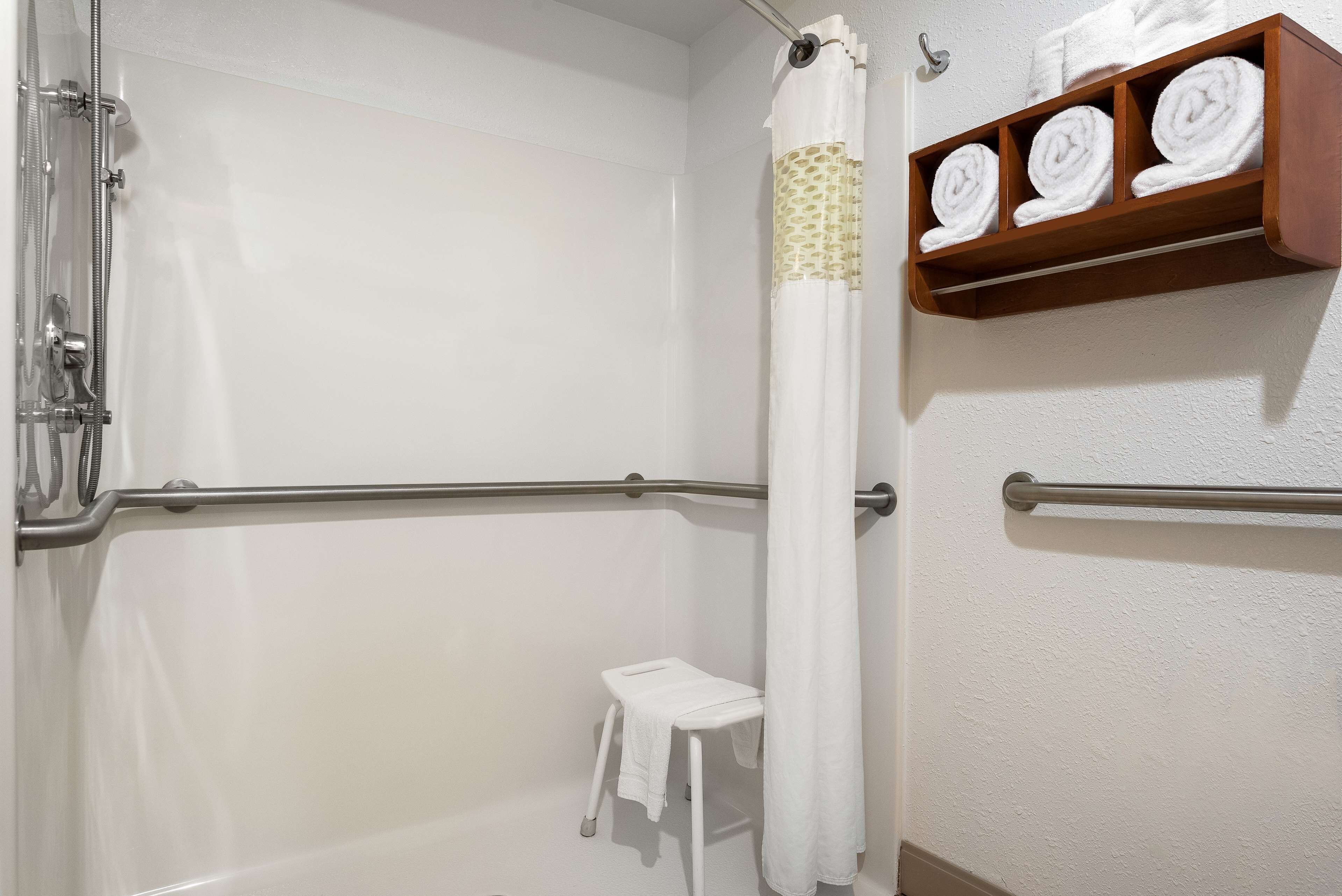 room, 1 king bed, accessible, non smoking | bathroom shower