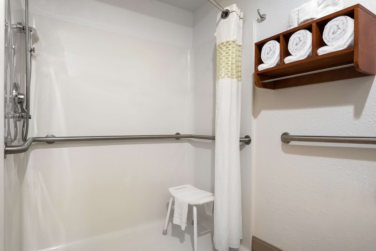 room, 1 king bed, accessible, non smoking | bathroom shower