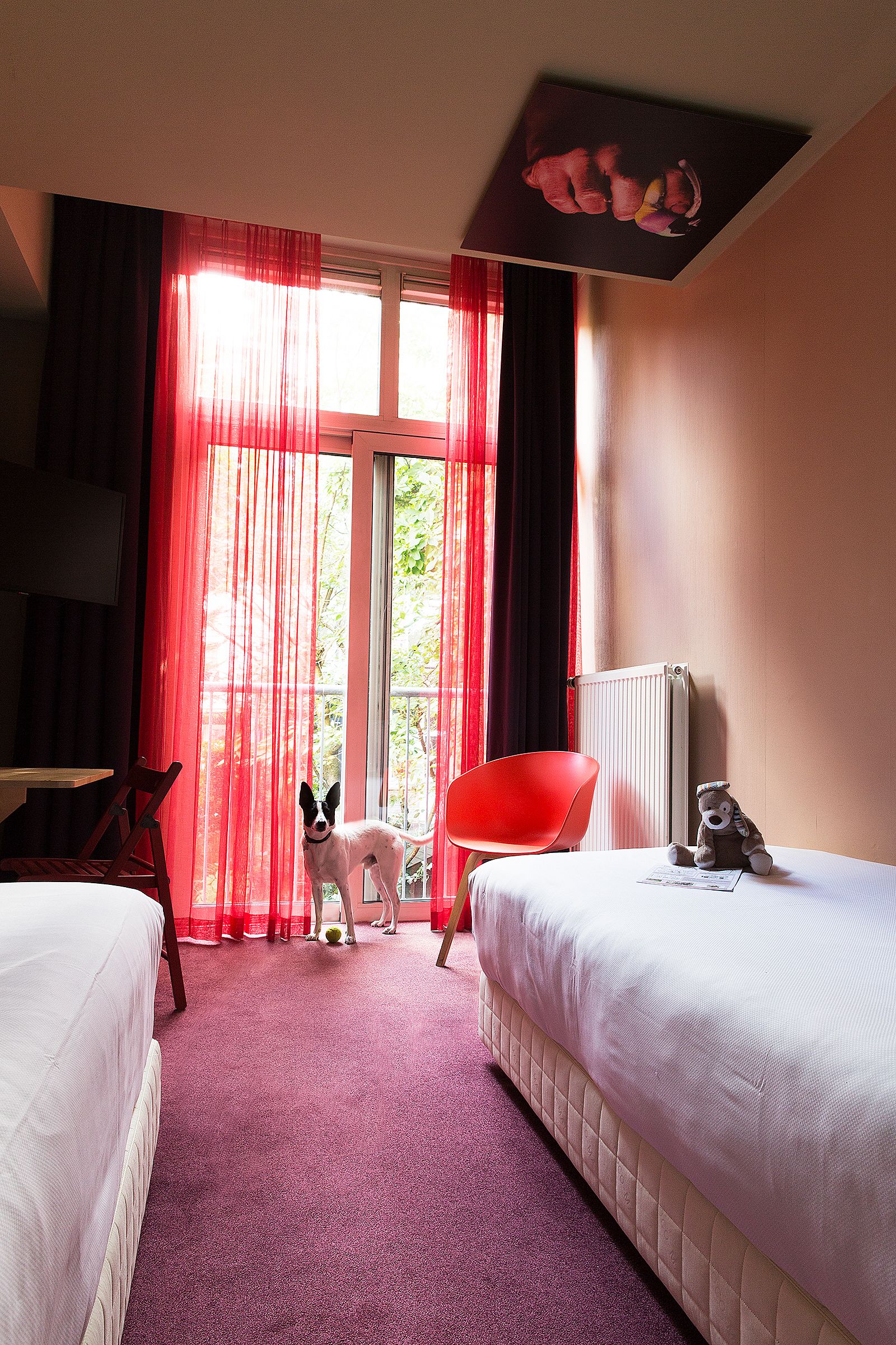 Ett hotellrum med två sängar, en röd stol, en hund och ett fönster med röda gardiner.