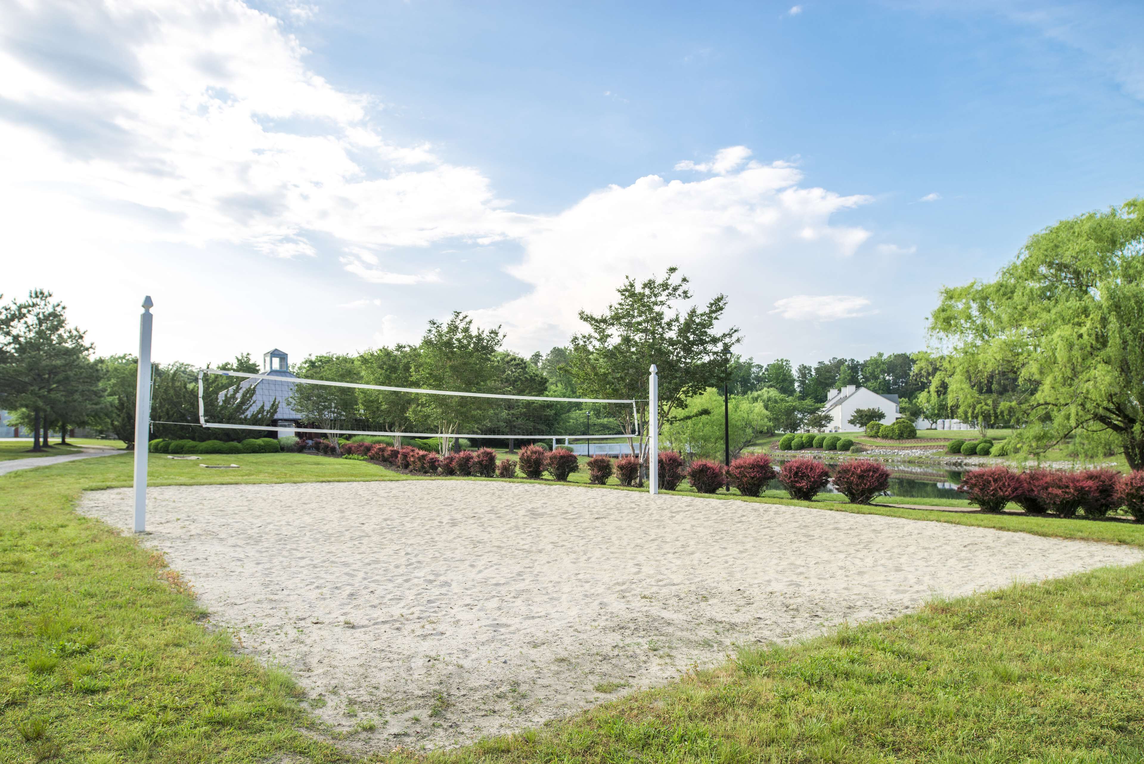 Un terrain de volley-ball avec un filet, entouré d’herbe verte et d’arbustes.