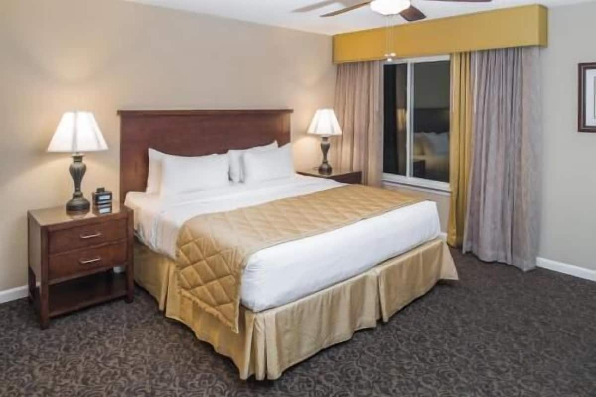 Premium bedding, in-room safe, individually decorated