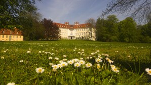 Ein großes Gebäude mit einer symmetrischen Fassade, umgeben von einem üppigen, grünen Feld voller Gänseblümchen.