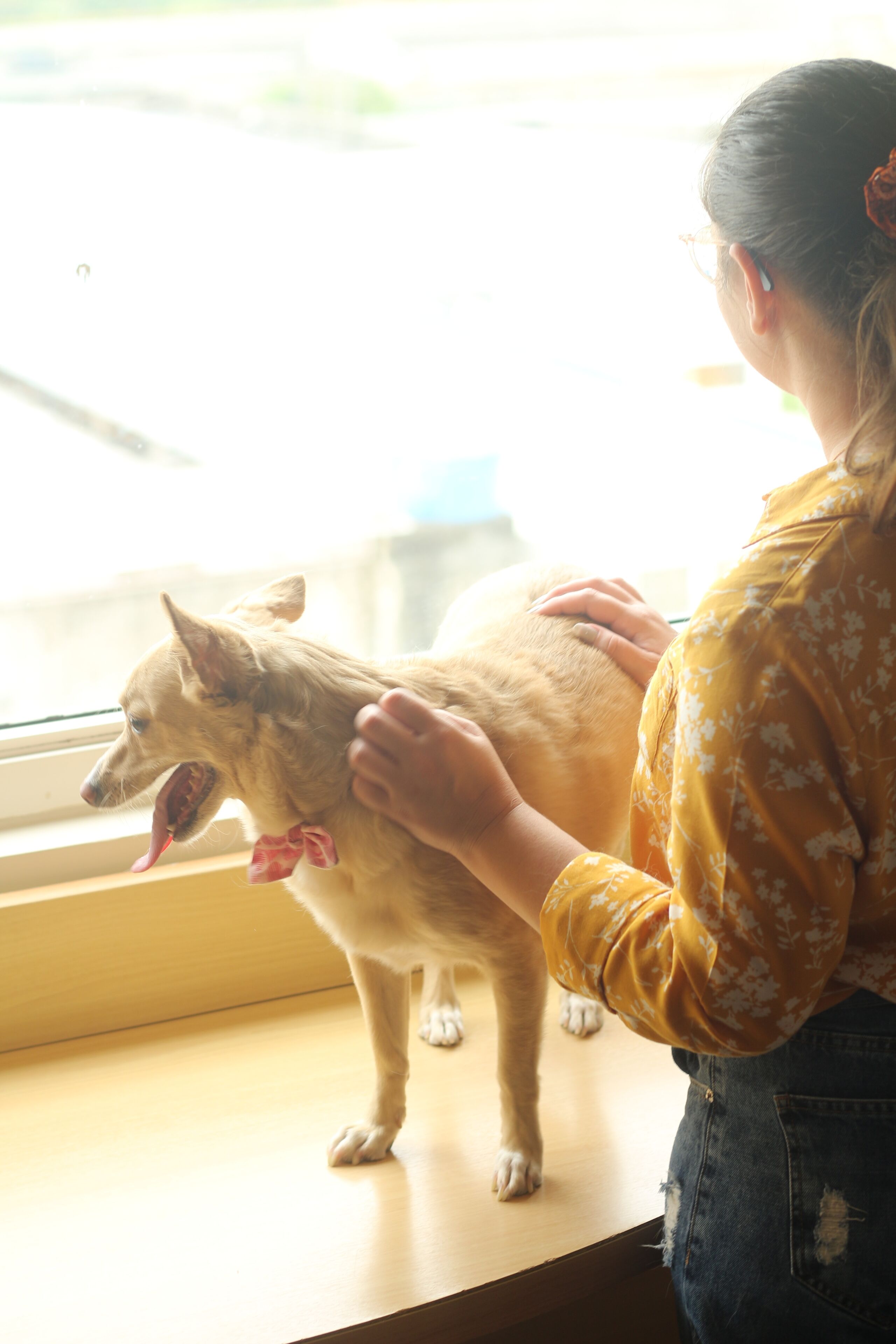 standard room, 1 double bed | minibar, in-room safe, desk, blackout curtains