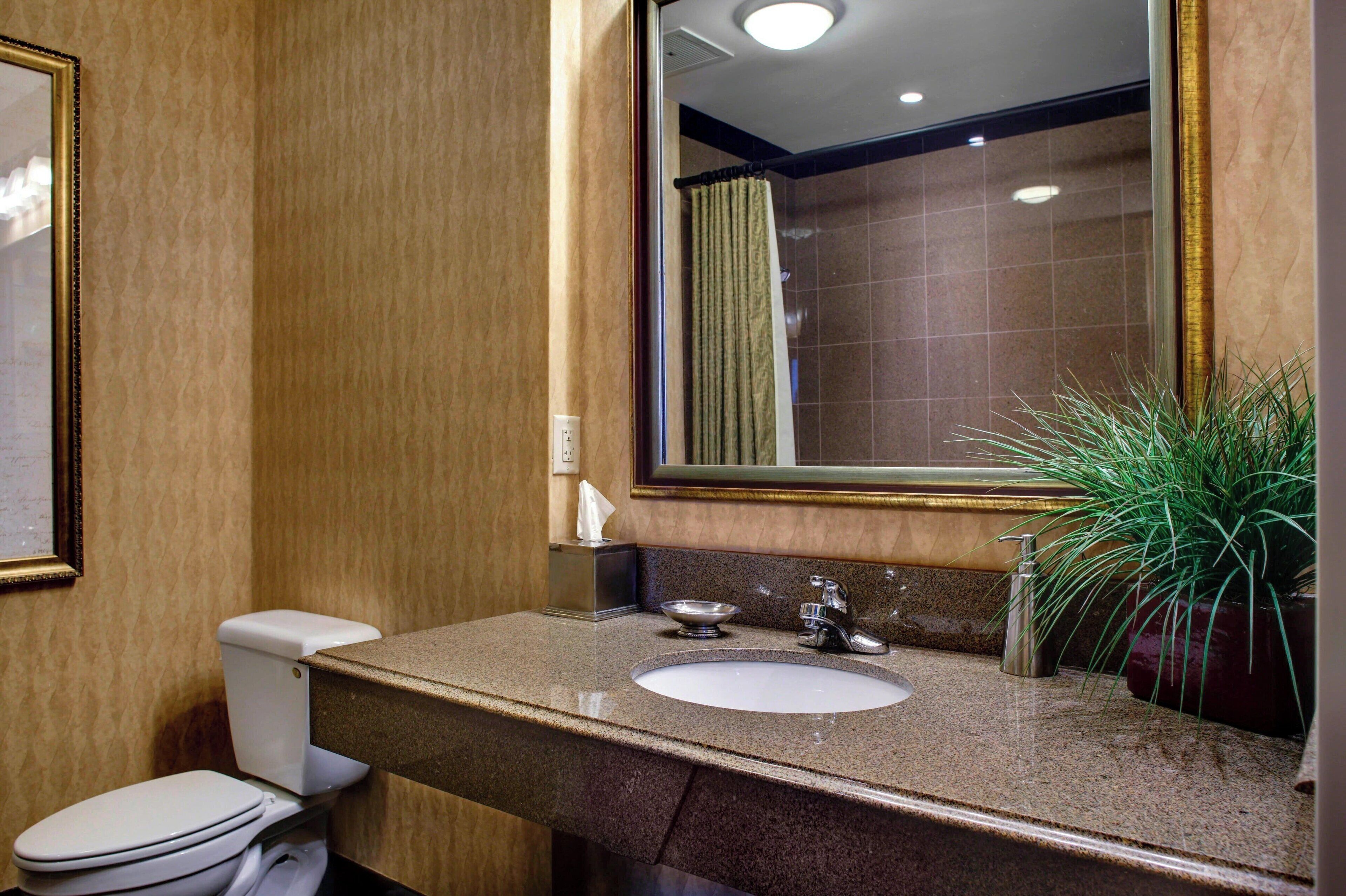 Combined shower/tub, free toiletries, hair dryer, towels