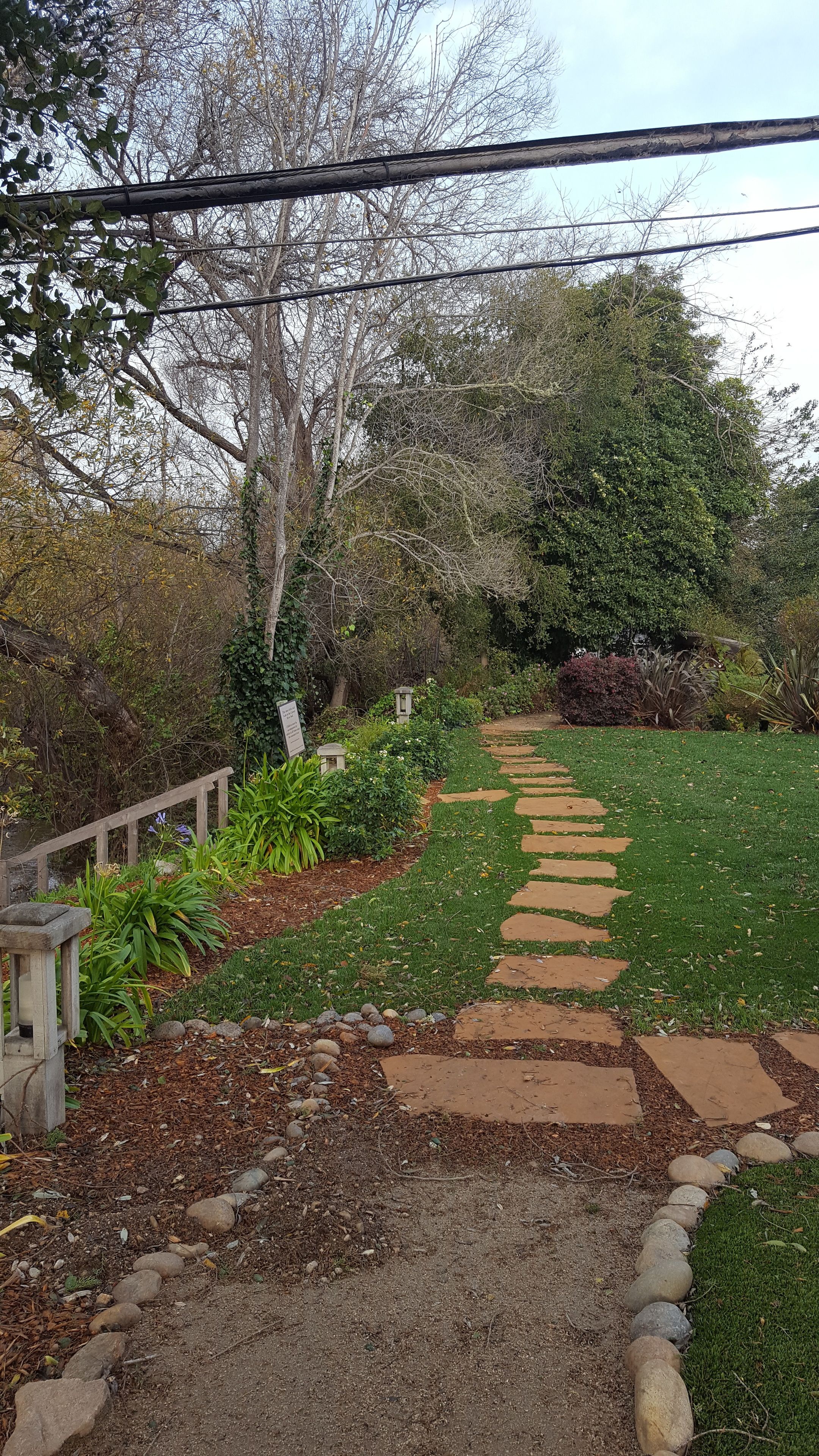 A garden pathway with stepping stones, surrounded by various plants and trees.