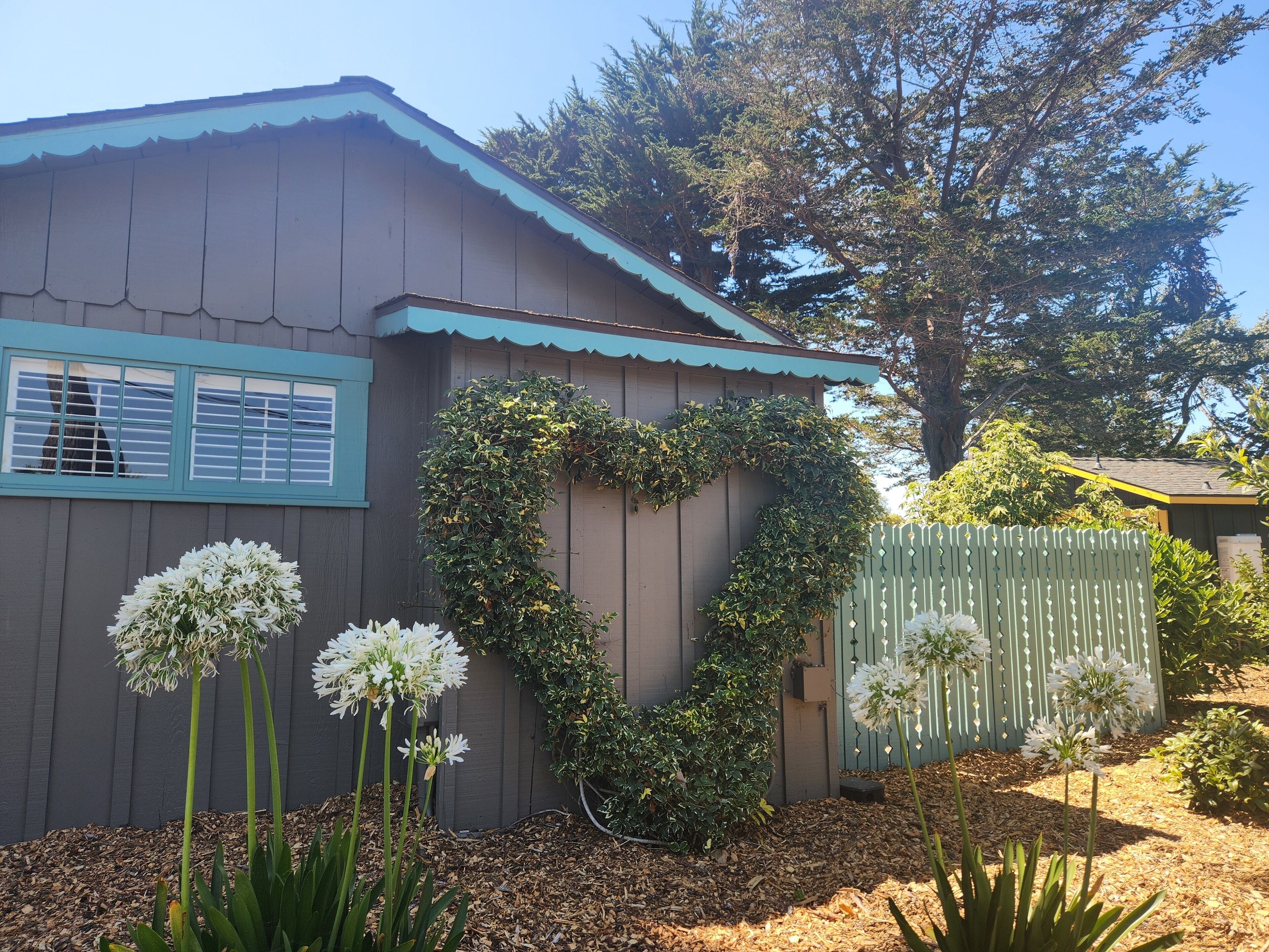 Una casa con una enredadera en forma de corazón en la cerca, rodeada de flores blancas y un árbol.