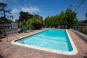 Seasonal outdoor pool, open 9:00 AM to 8:00 PM, pool loungers