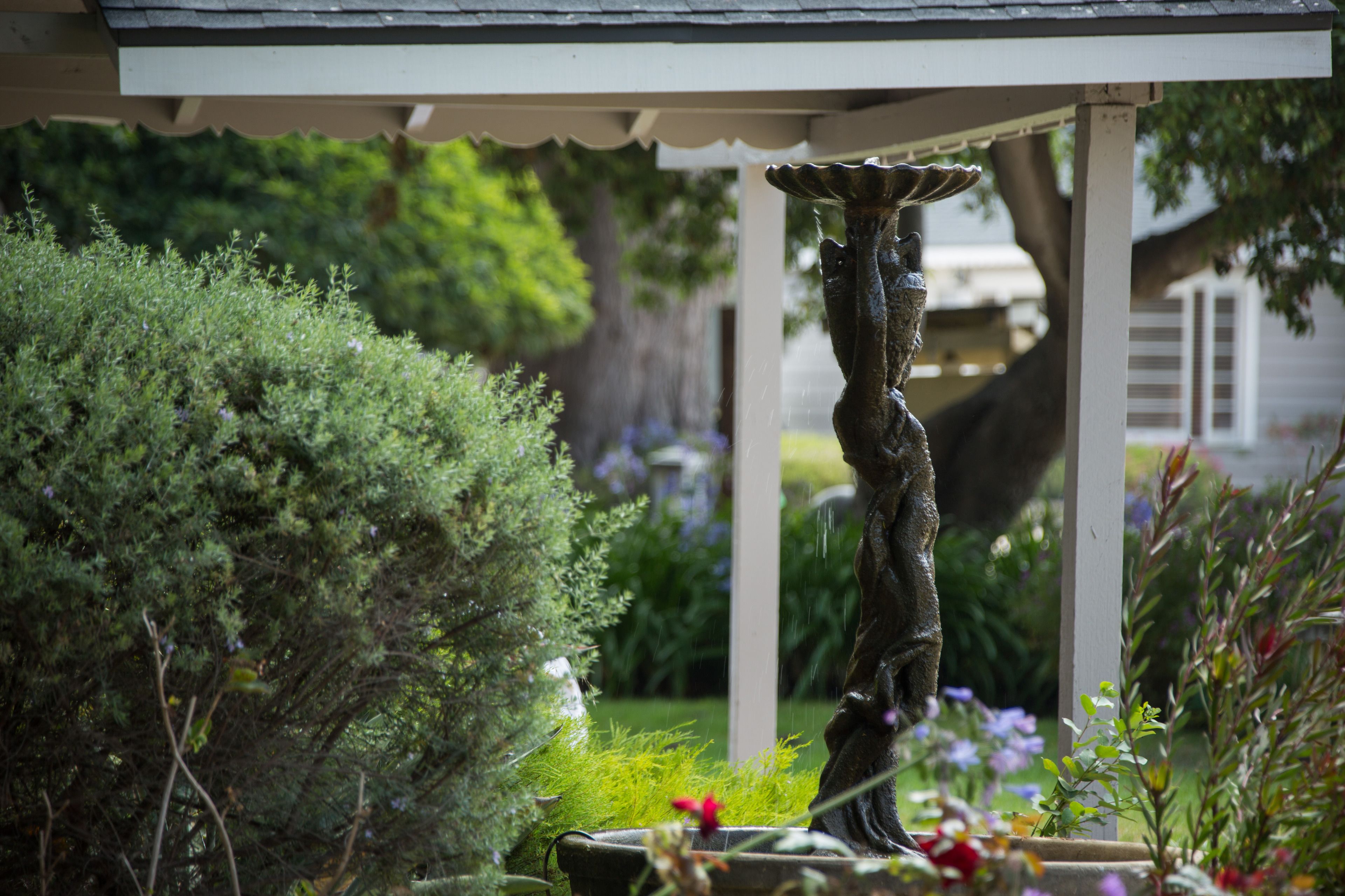 A garden with a water feature, including a fountain and a bird bath, surrounded by various plants and flowers.