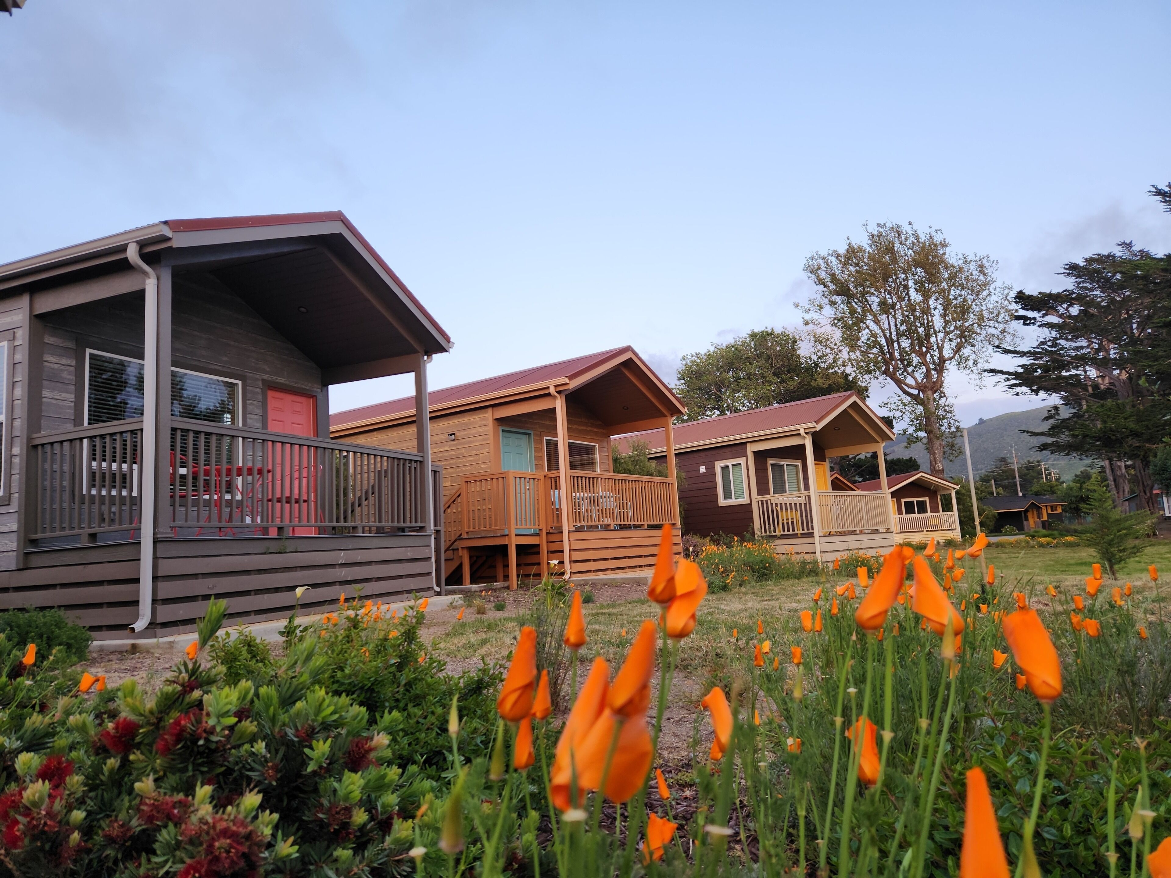 A row of wooden cabins with balconies, surrounded by a garden with orange flowers.