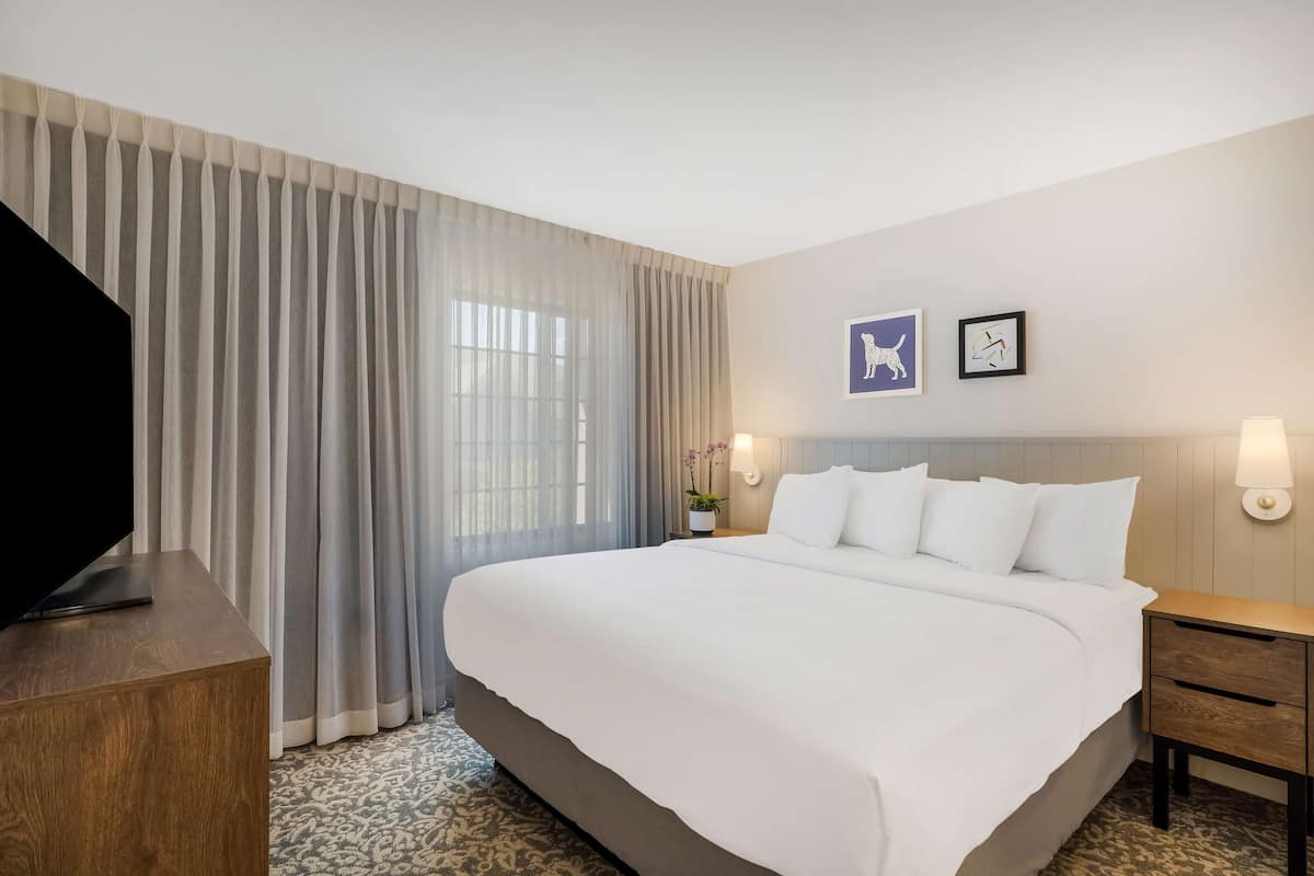 Habitación de hotel con una cama grande, un televisor sobre un mueble de madera, una mesita de noche con lámpara y dos cuadros enmarcados en la pared.
