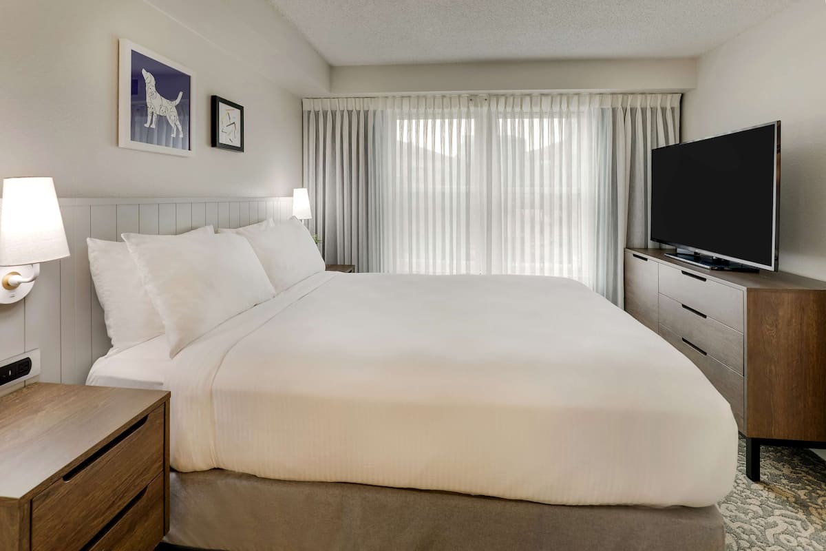 Habitación de hotel con una cama grande, un televisor sobre un mueble de madera, una mesita de noche con lámpara y una ventana con cortinas translúcidas.