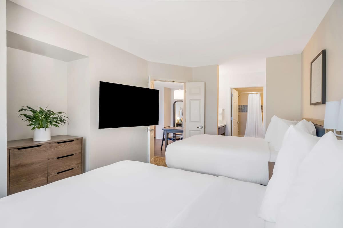 Una habitación de hotel con cama, televisión montada en la pared, cómoda de madera y planta en maceta.