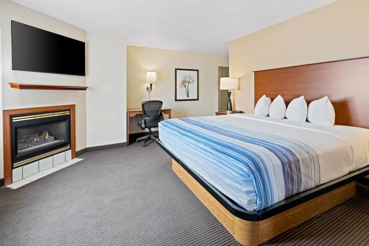 Superior Suite, 1 King Bed, Non Smoking (One-Bedroom)