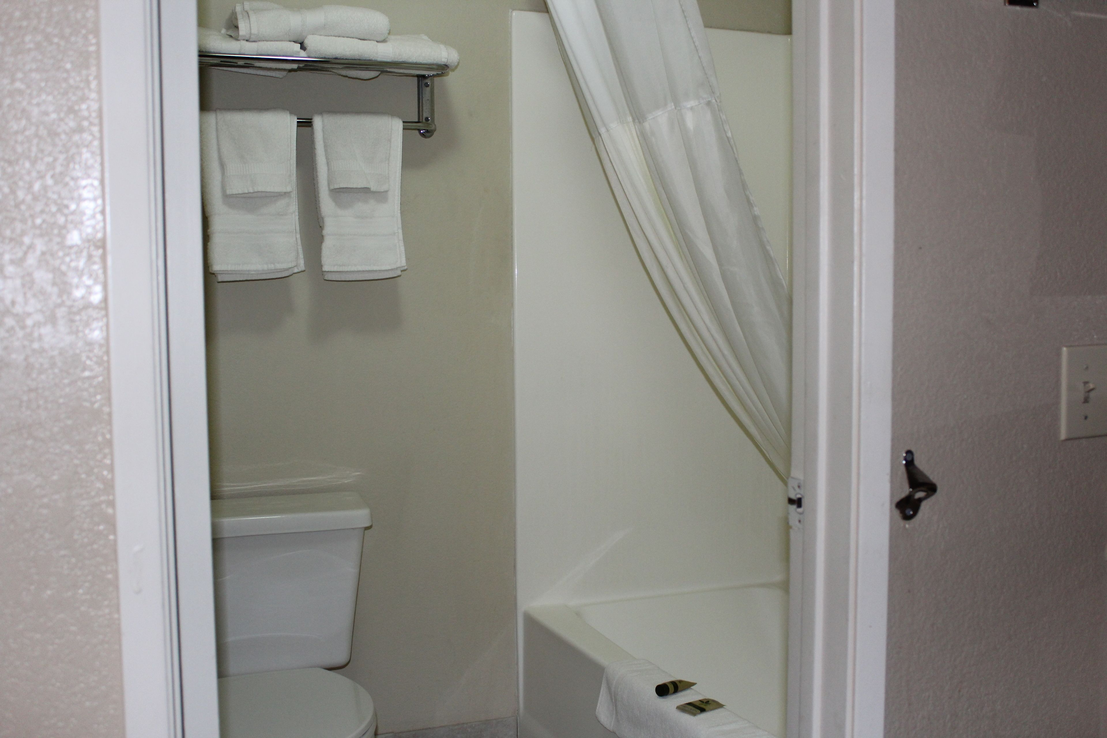 A bathroom with a toilet, a bathtub, and a shower curtain.