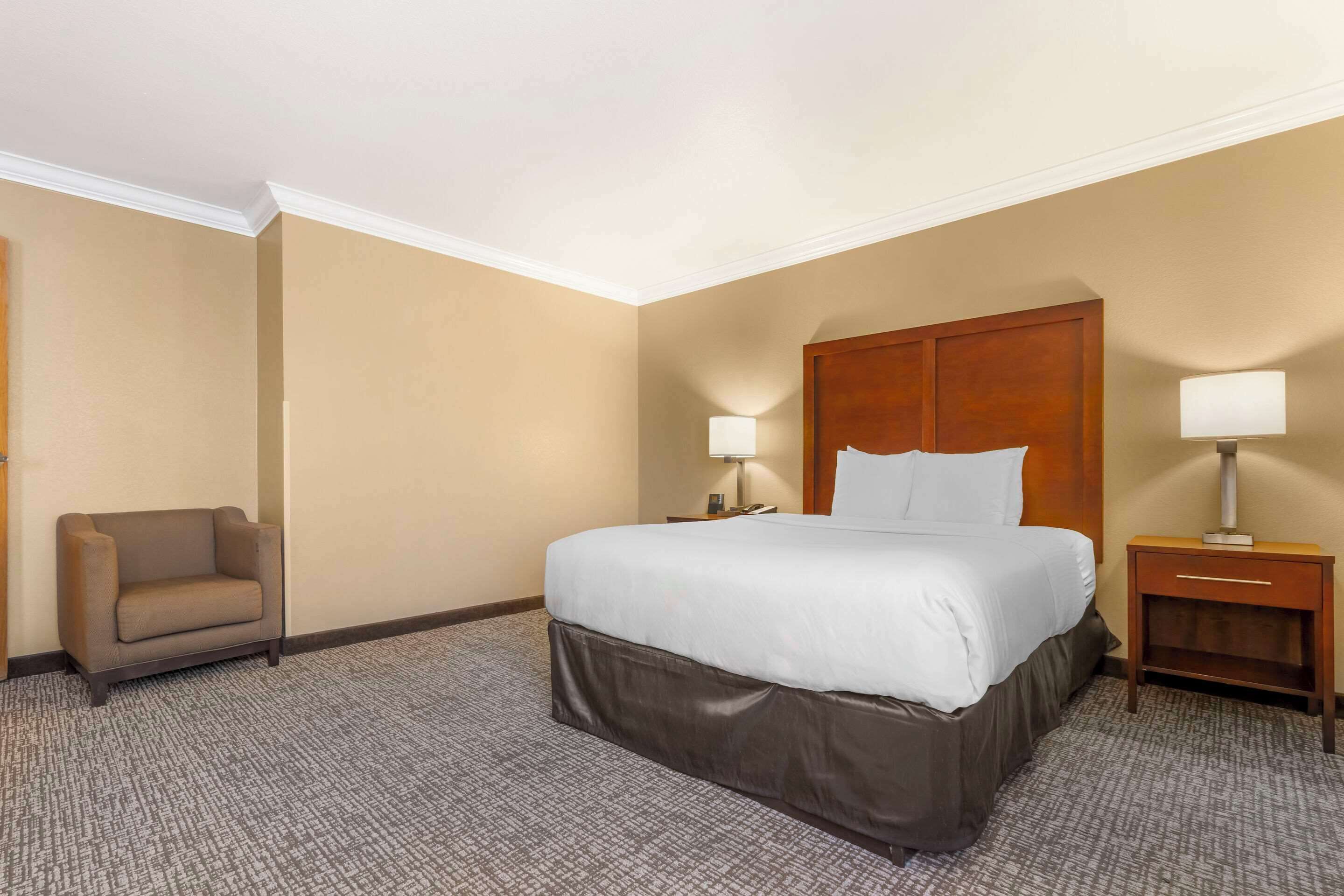 A hotel room with a bed, a chair, a nightstand, and a lamp.