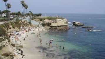 Vista desde la propiedad