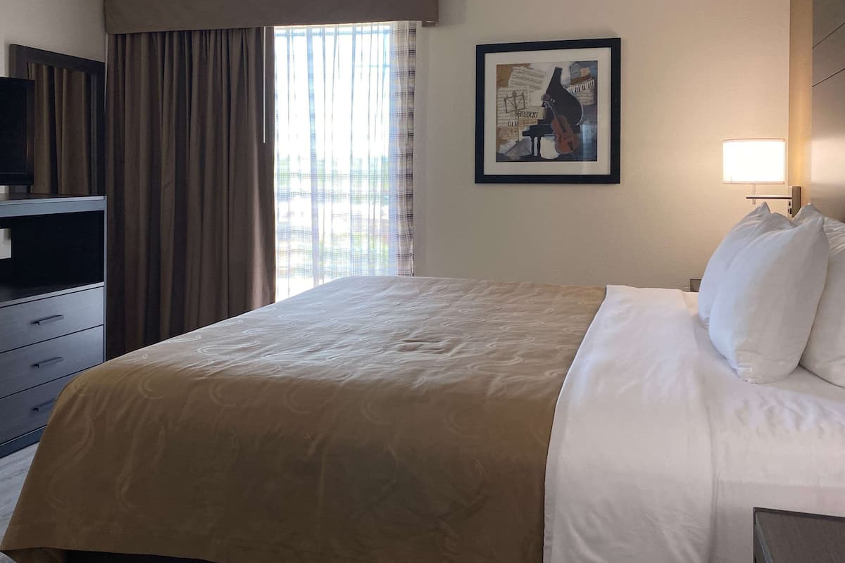 Suite, 1 letto king con divano letto, non fumatori, idromassaggio (No Pets Allowed) | Una scrivania, ferro/asse da stiro, Wi-Fi gratuito, lenzuola