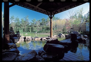 Hot springs