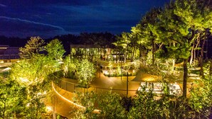 An outdoor area with pathways, trees, and illuminated structures at night. - Phoenix Seagaia Ocean Tower (Miyazaki)