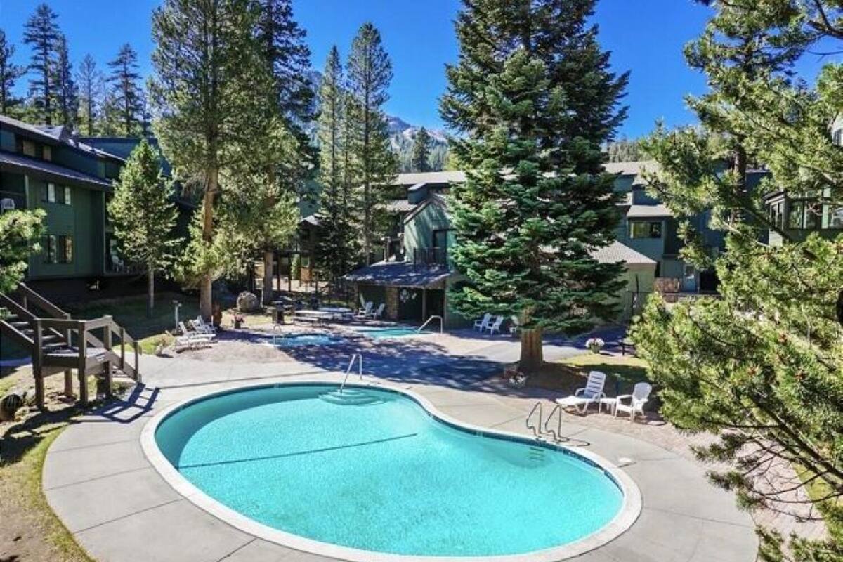 A swimming pool with lounge chairs, surrounded by trees and buildings.