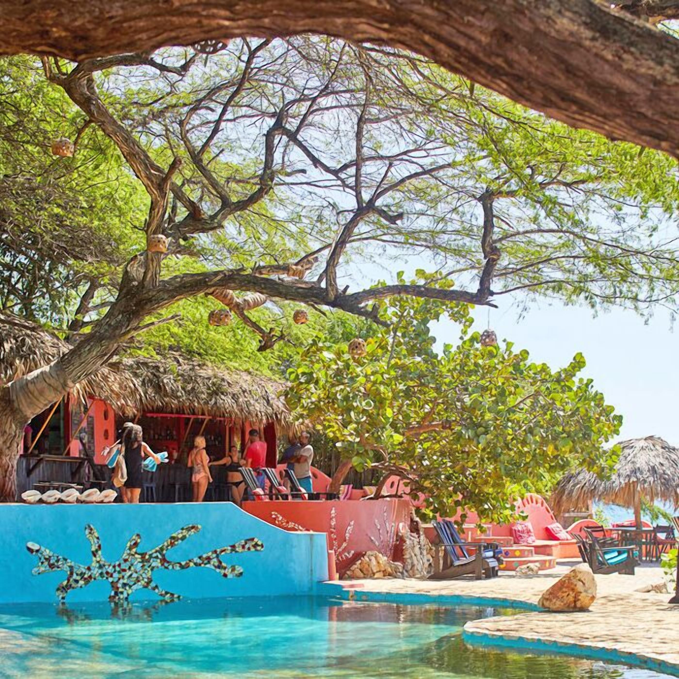 2 bars/lounges, poolside bar