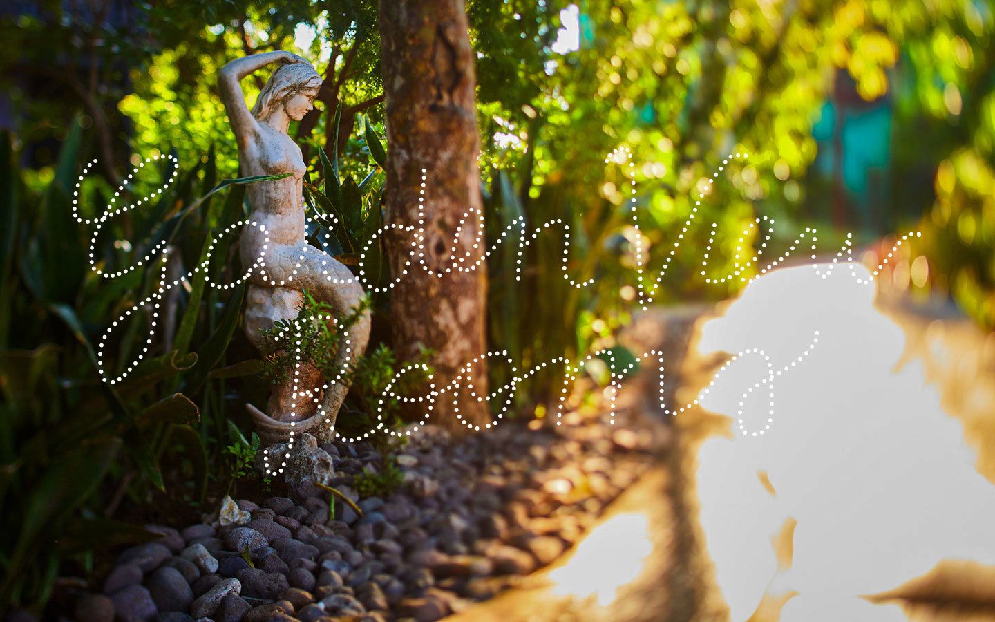 room, garden view | garden view