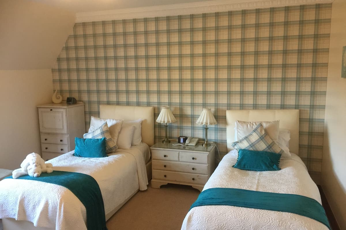 standard room, 2 single beds, non smoking, mountain view | 1 bedroom, desk, iron/ironing board, free wifi