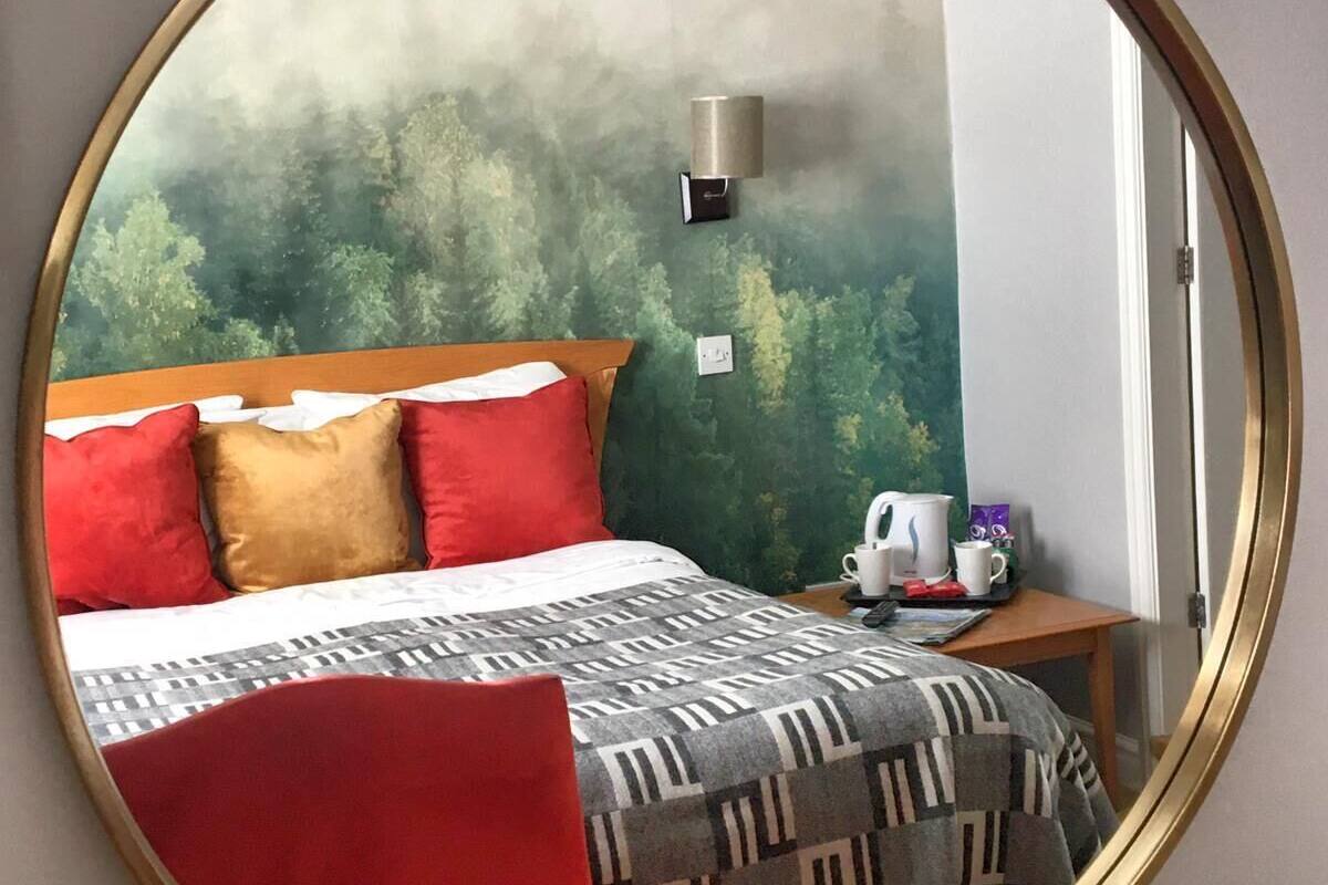 双人房 (Hotel) | 办公桌、熨斗/熨衣板、免费 WiFi、床单