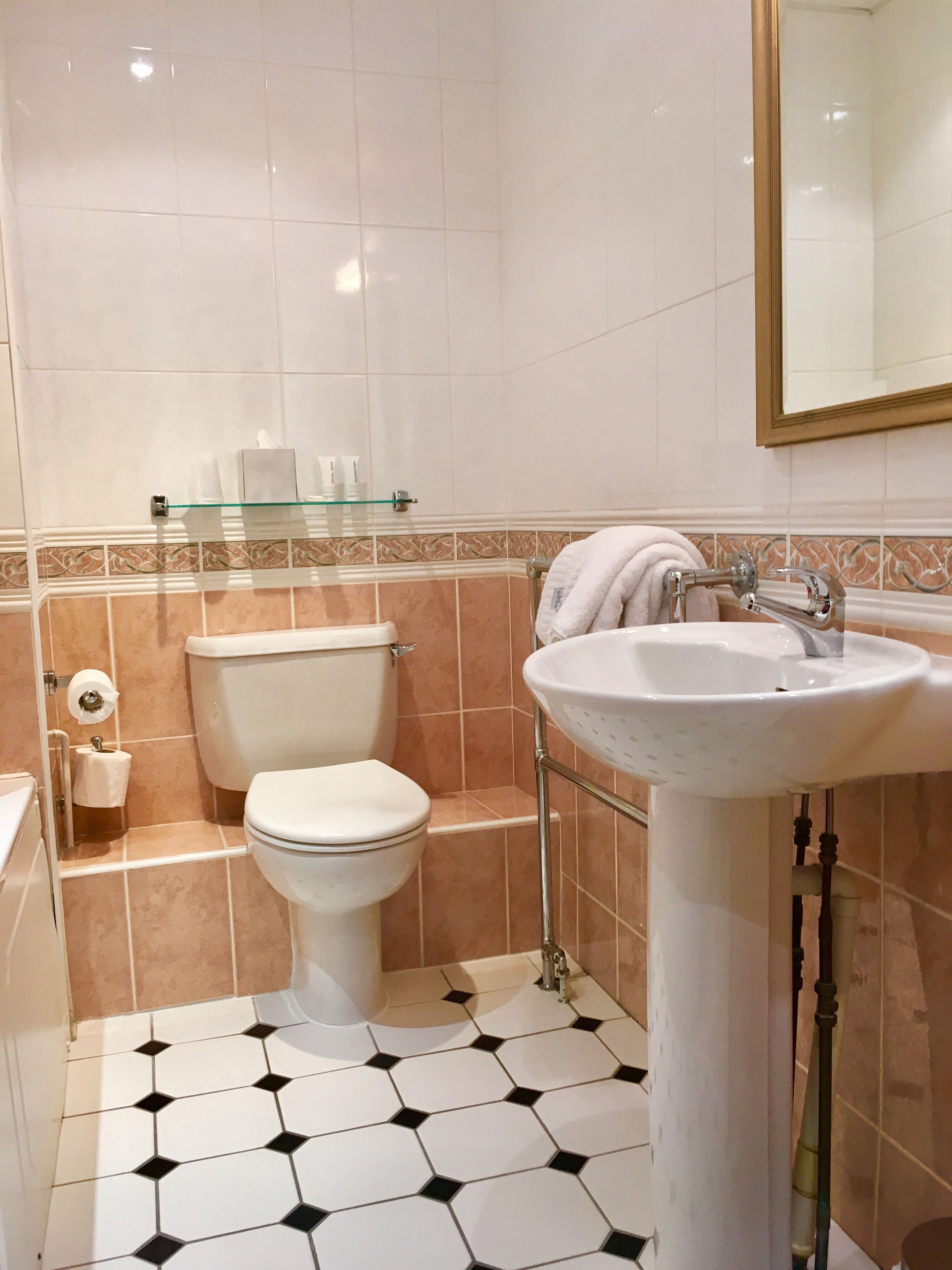 A bathroom with a toilet, sink, and glass shelf.